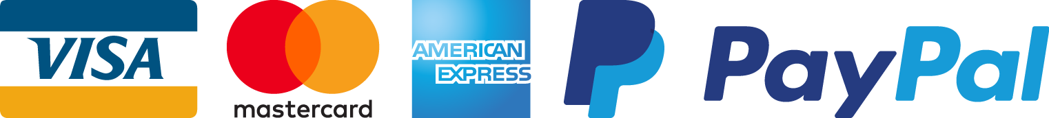 Paga tu viaje a New York con Visa, Mastercard, American Express, PayPal y transferencia bancaria