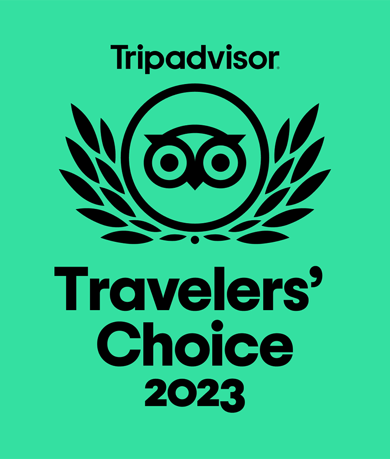 Valoraciones de Te Llevo a Nueva York en Tripadvisor 2023