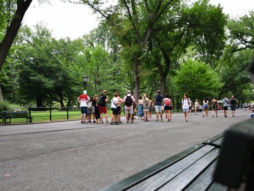 Central Park - Un lugar imprescindible en nuestra visita a la Gran Manzana