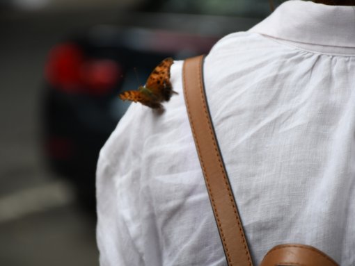 Mariposa - Mariposa posada el hombro de una mujer en Nueva York